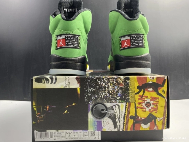 Cheap 5 CK6631-307 Air Ducks Oregon SE Jordan 0809